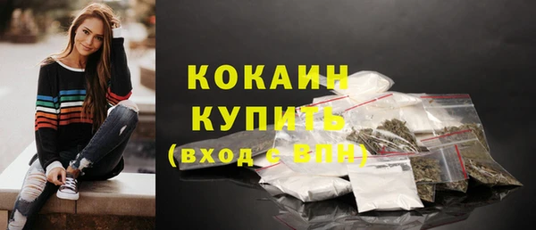 ГАЛЛЮЦИНОГЕННЫЕ ГРИБЫ Абаза
