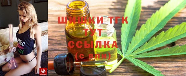 ГАЛЛЮЦИНОГЕННЫЕ ГРИБЫ Абаза