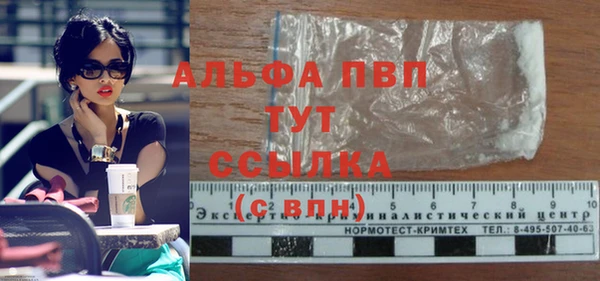 ГАЛЛЮЦИНОГЕННЫЕ ГРИБЫ Абаза