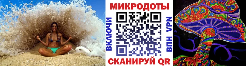 Псилоцибиновые грибы GOLDEN TEACHER  наркошоп  Киренск 